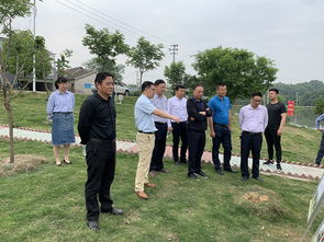 谷里街道人大工委聚焦水环境污染治理 专题视察活动助力生态环境改善